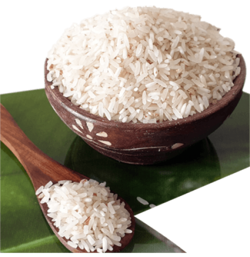 Rice
